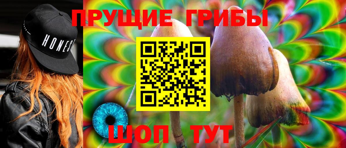 Троицк  Галлюциногенные грибы мухоморы  Вход с VPN 